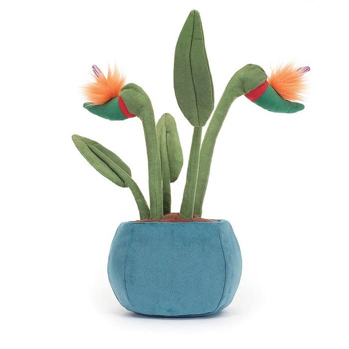 Amuseable Florist Bird of Paradise 3