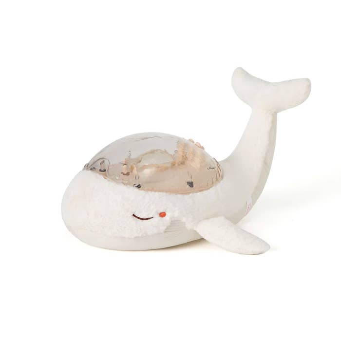 Cloud B - Tranquil Whale-3