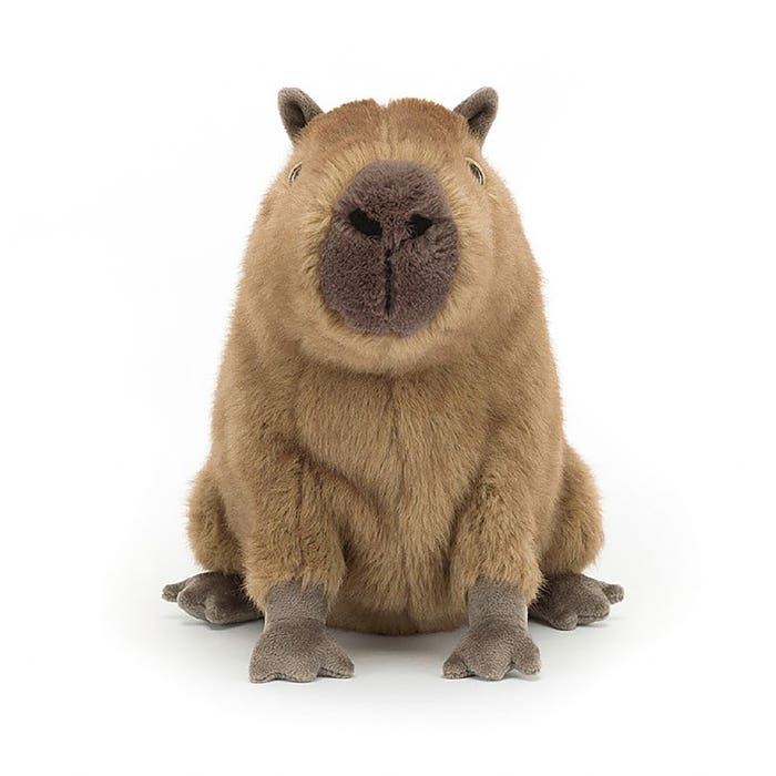 Jellycat - Clyde Capybara - 4
