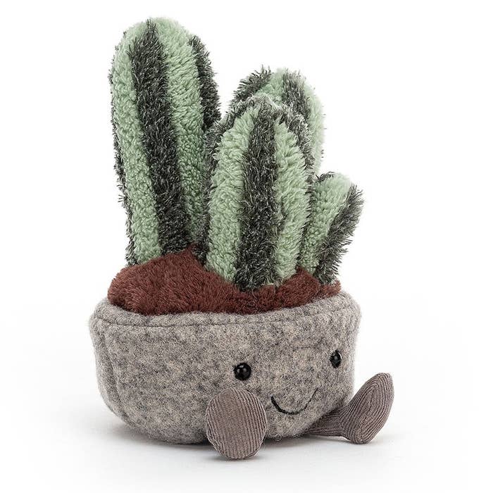 Silly Succulent - Columnar Cactus 