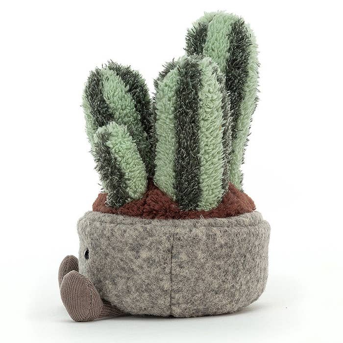 Silly Succulent - Columnar Cactus 2