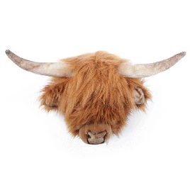 Nicolas Highland Cow Head Large