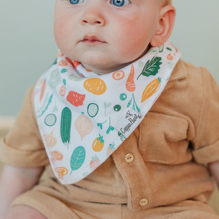 Bandana Bib (4 Pk) - Veggies
