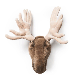 Alfred Moose Head Large