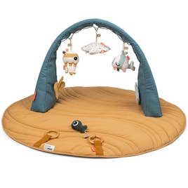 Activity Gym w/ Play Mat