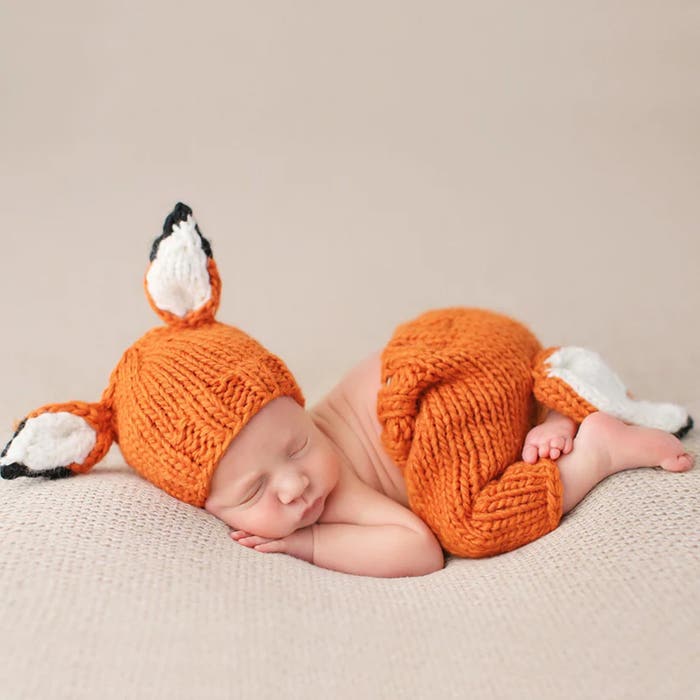  Blueberry Hill - Fox Set - LS - 1