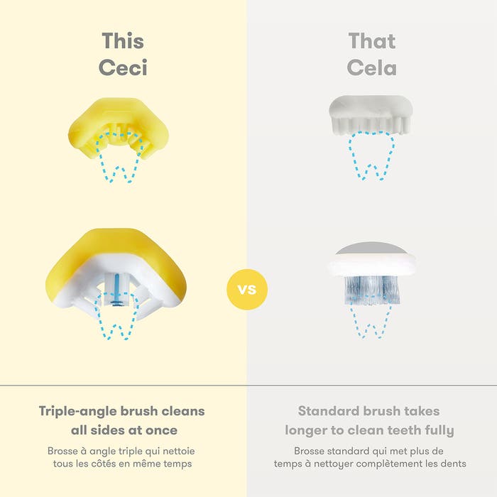 Grow-With-Me Training Toothbrush Set - Updated