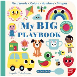 My BIG Playbook