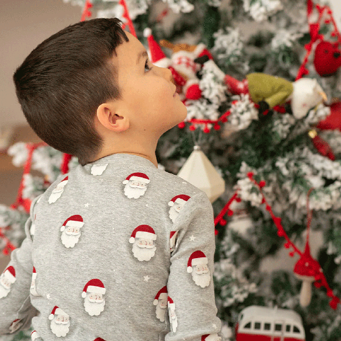 Petit Lem - Holiday Baby Pj Set LS 3