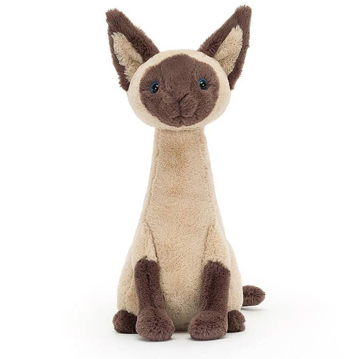 Iris Siamese Cat 4