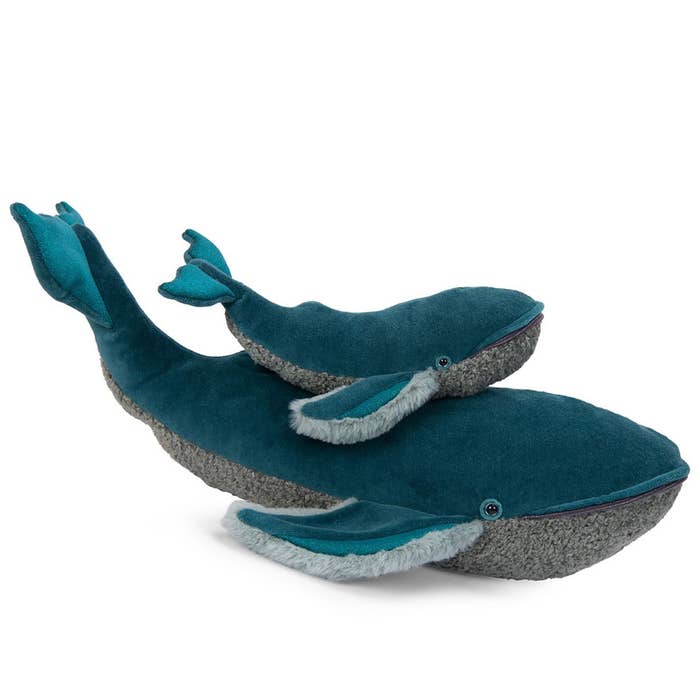 Whale Large Lifestyle 2