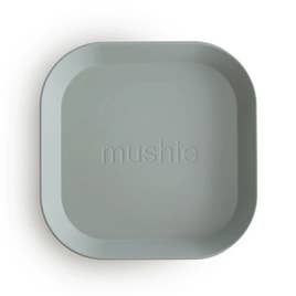 Square Dinnerware Plates (2 PK)