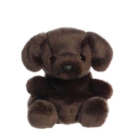 Palm Pals - Sienna Chocolate Lab