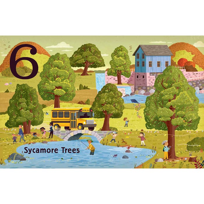 Raincoast Books - Trees -5