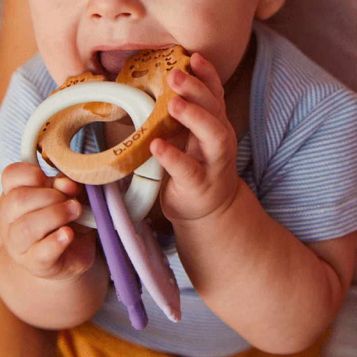 Trio Teether-LS 2