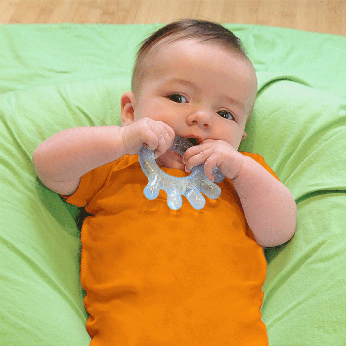 Cool Everyday Teethers (2 Pk)-LS 1
