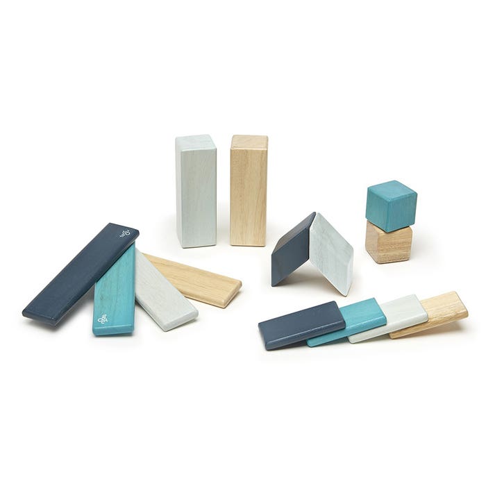 Tegu - Magnetic Wooden Block Set (14pcs) 2
