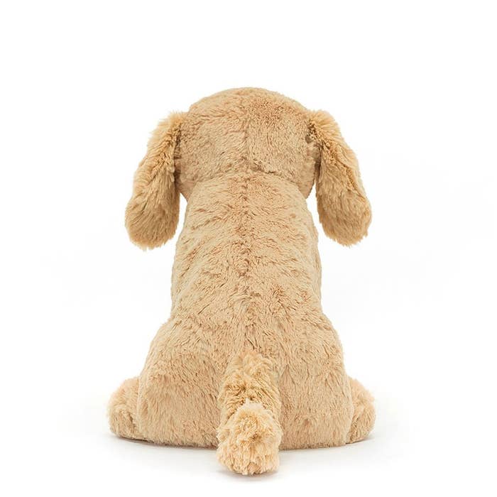 Tilly Golden Retriever 3
