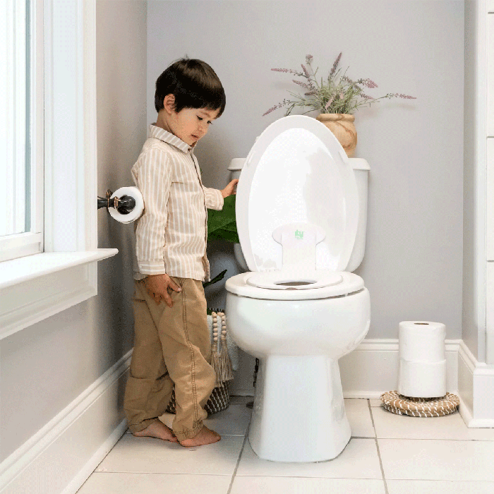 Flip & Sit Potty-LS 5