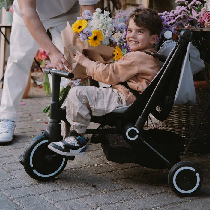 smarTrike - Traveller Stroller - LS - 8