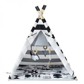 Baby Activity Tent