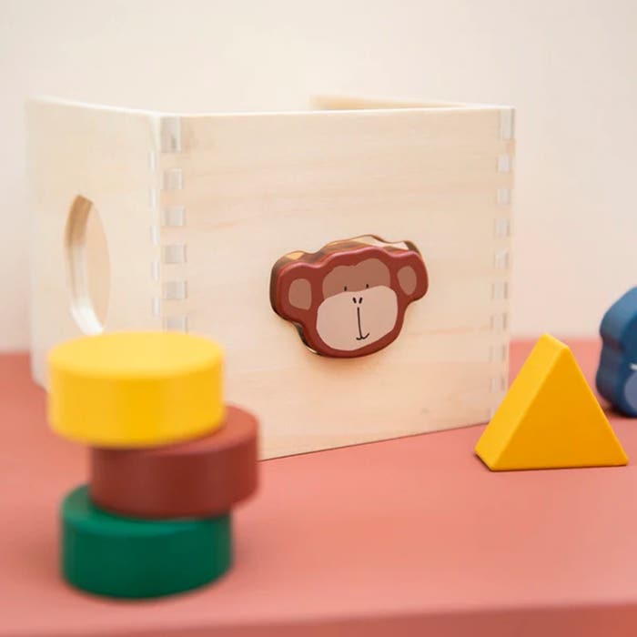 Trixie - Wooden Shape Sorter - LS - 4